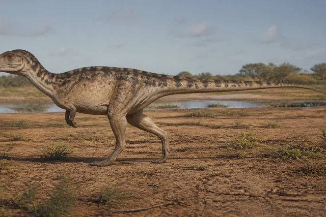 Catalogue illustration for Abrictosaurus
