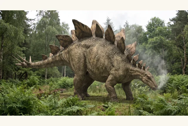 Catalogue illustration for Lexovisaurus