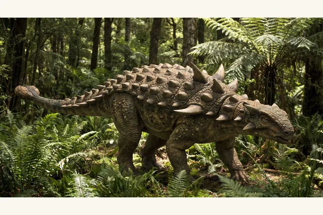 Catalogue illustration for Nodosaurus