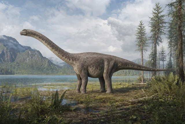 Catalogue illustration for Omeisaurus