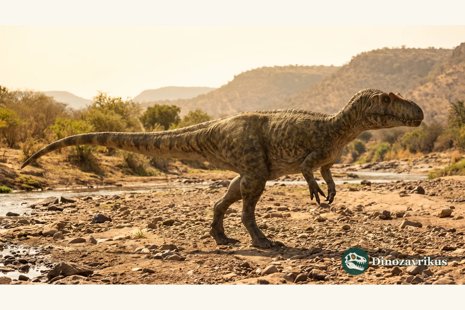 Afrovenator reconstructed on a river plain in Jurassic Niger, shown as a bipedal megalosauroid with a low skull crest