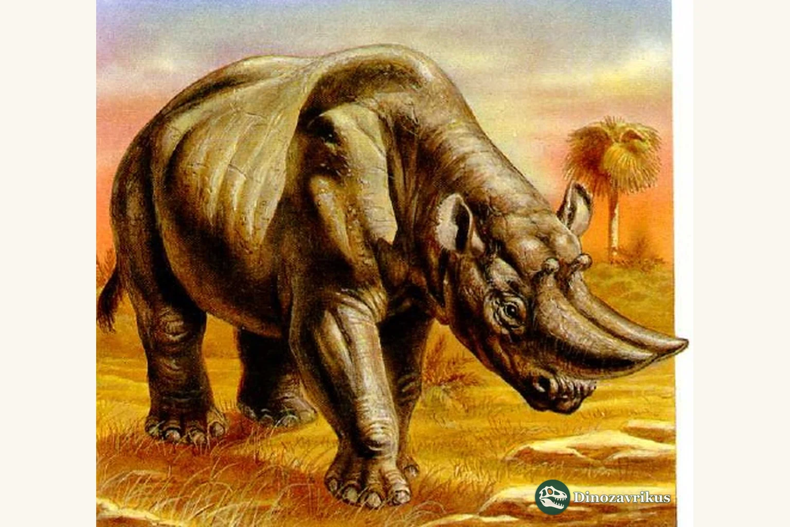 Three extinct large herbivores with distinct horn and skull shapes