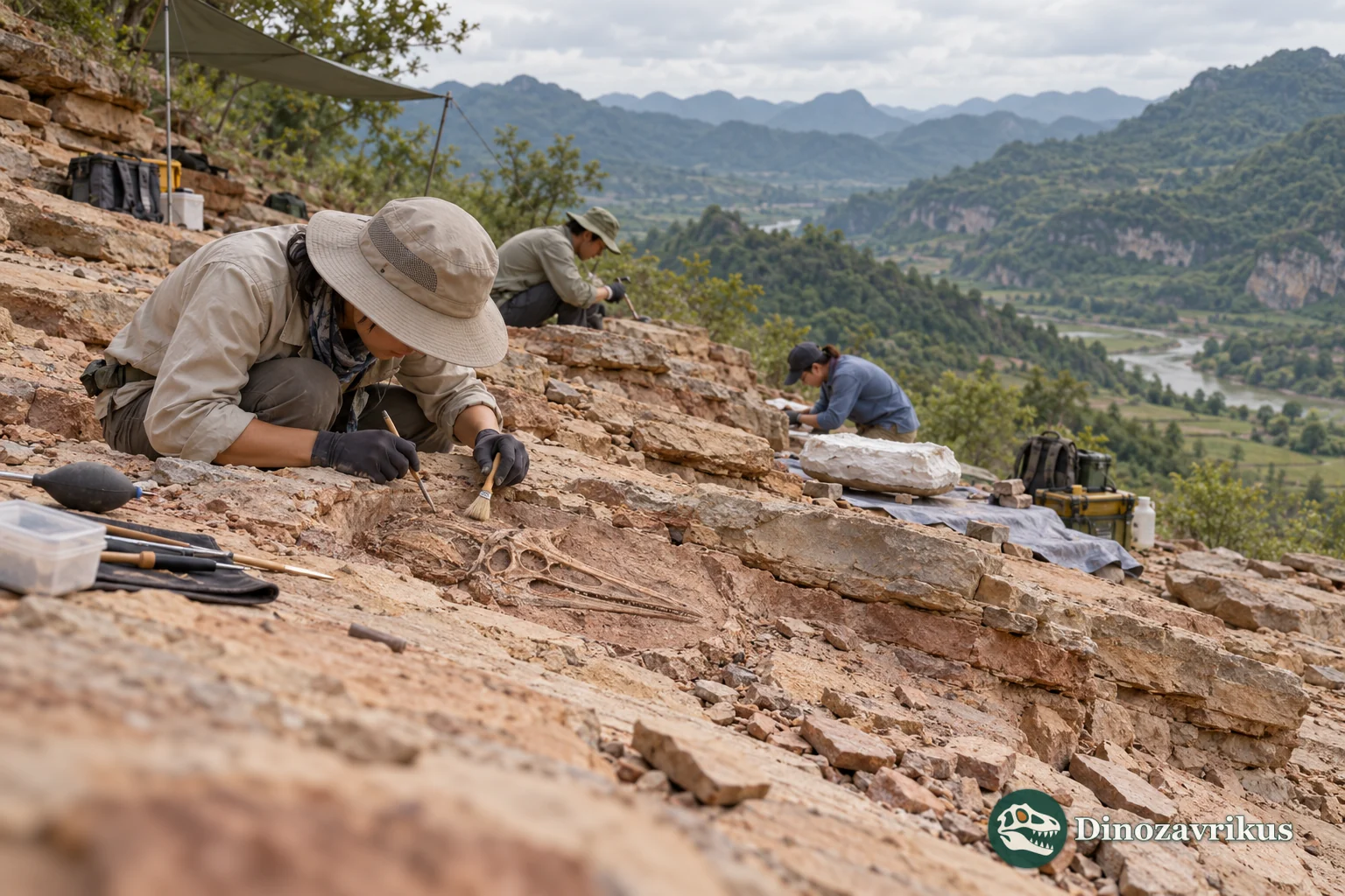 Illustrative paleontological fieldwork at a Jurassic rock exposure in Sichuan