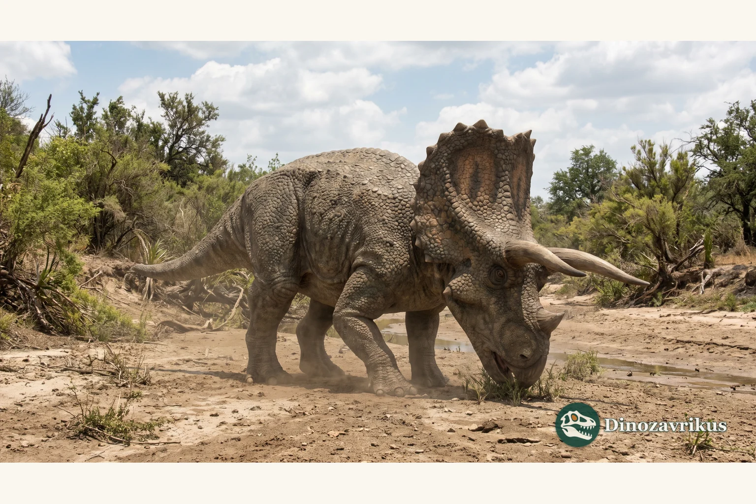 Arrhinoceratops reconstructed in an early Maastrichtian Alberta floodplain