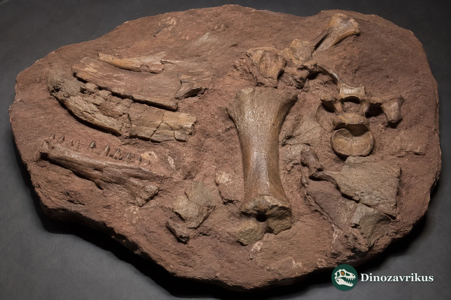 Scientific reconstruction of the incomplete Asprosaurus bibongriensis bones from South Korea