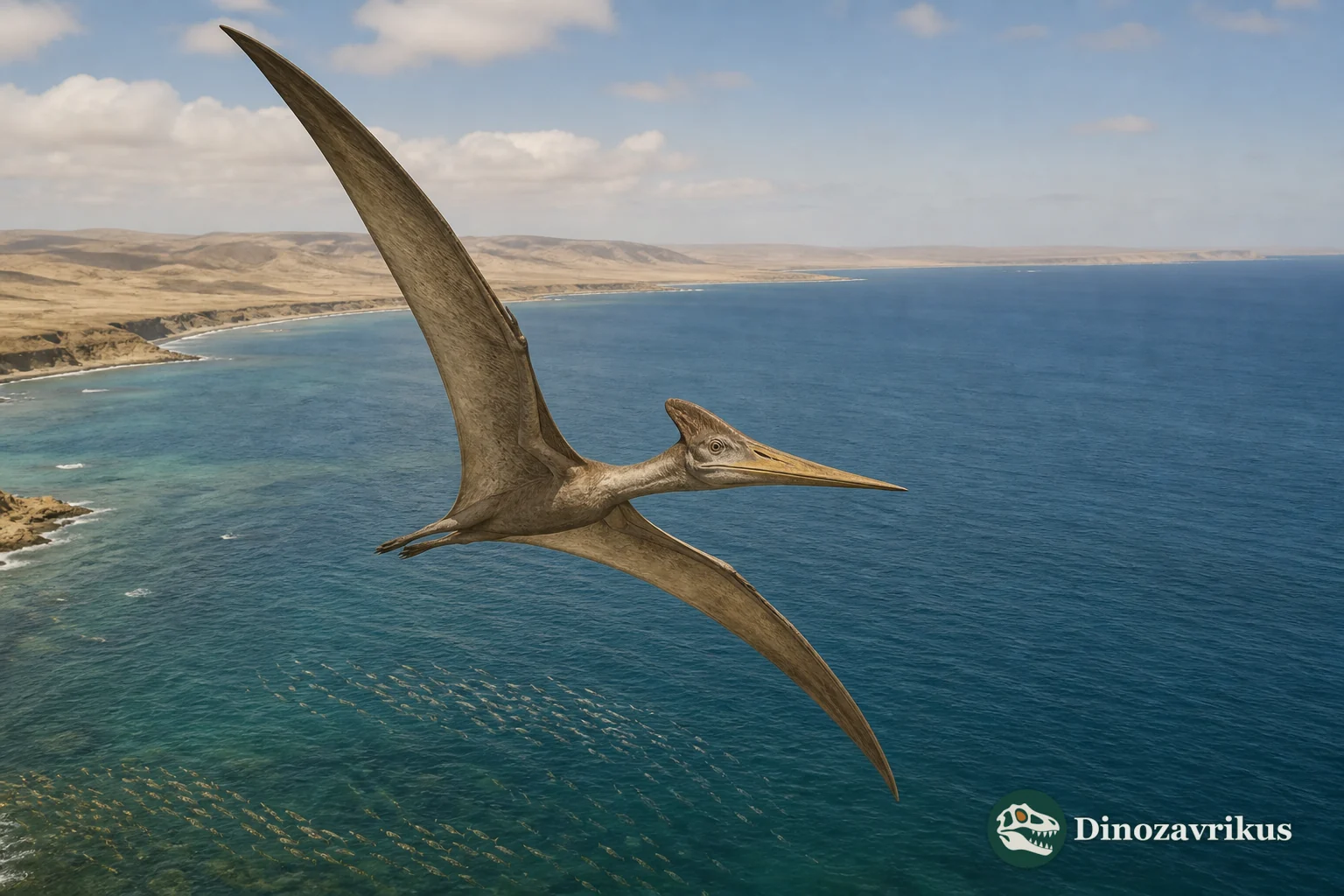 Barbaridactylus reconstructed in flight over the Late Cretaceous sea off Morocco