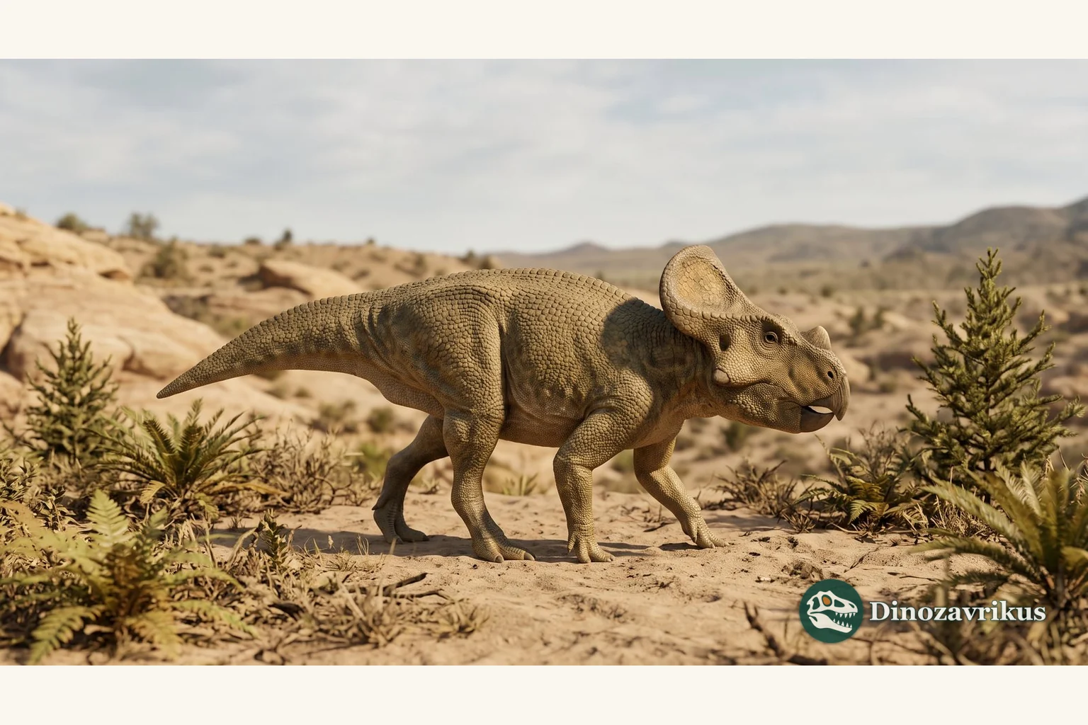 Illustrative reconstruction of Breviceratops in a Late Cretaceous Gobi setting