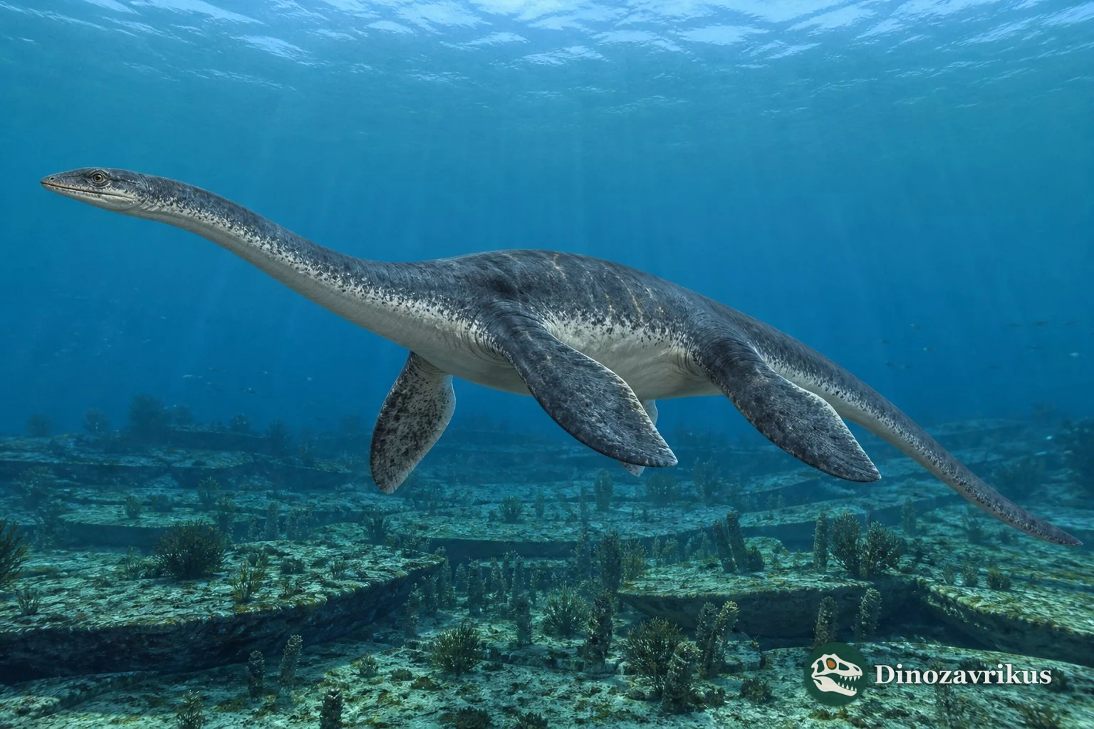Ceresiosaurus calcagnii swimming over a Middle Triassic carbonate lagoon