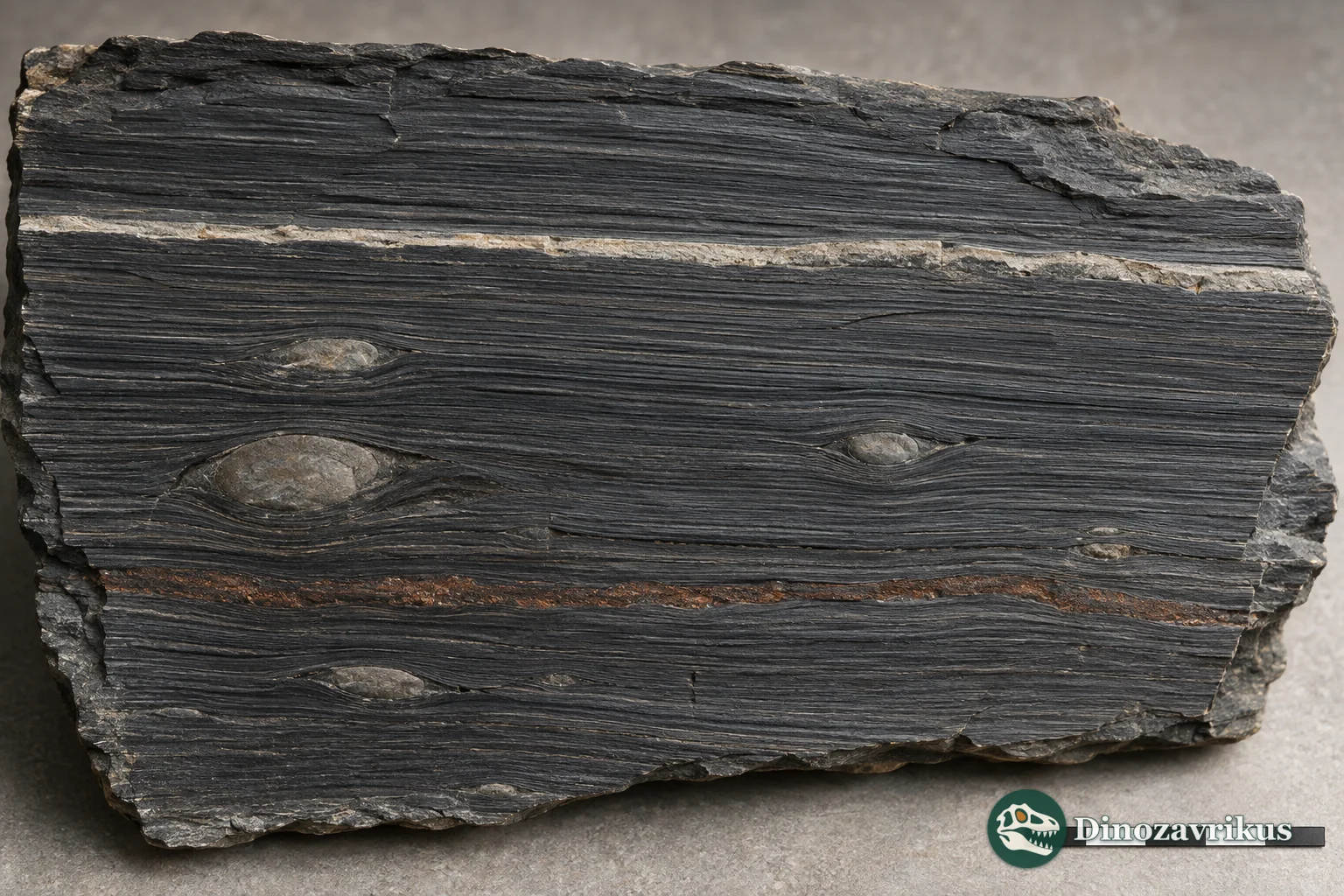 Finely laminated dark shale like the rocks of the Xiamaling Formation