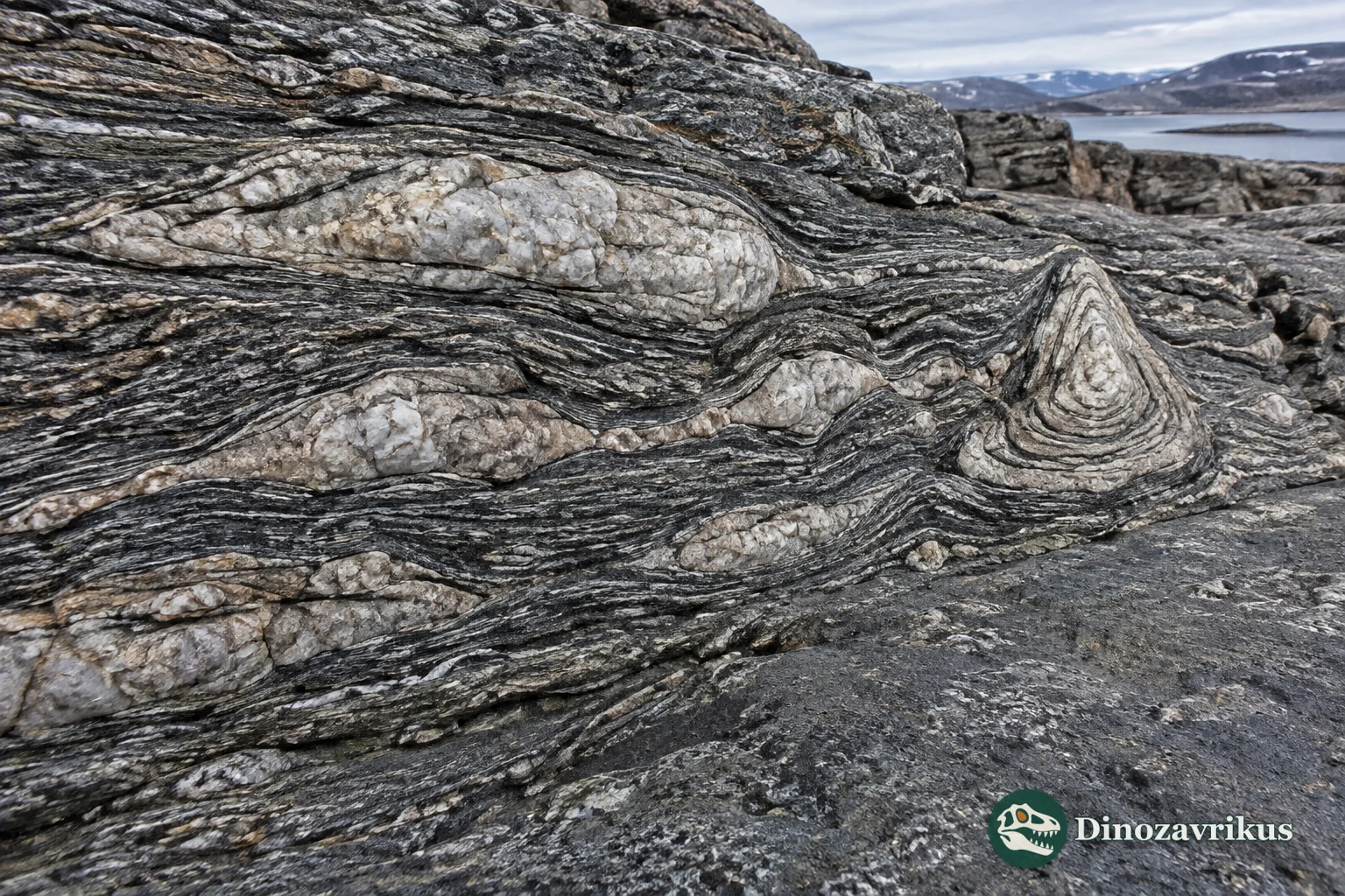 Deformed quartz-dolomite structures in the Isua belt