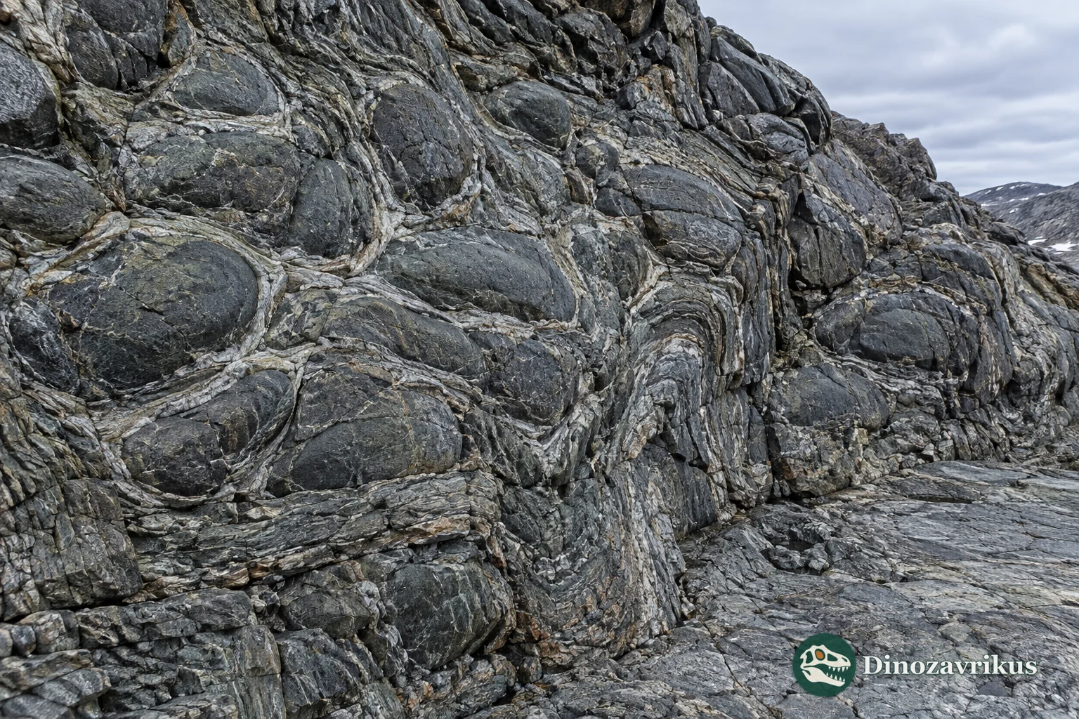 Metamorphosed pillow basalt in the ancient rocks of Isua
