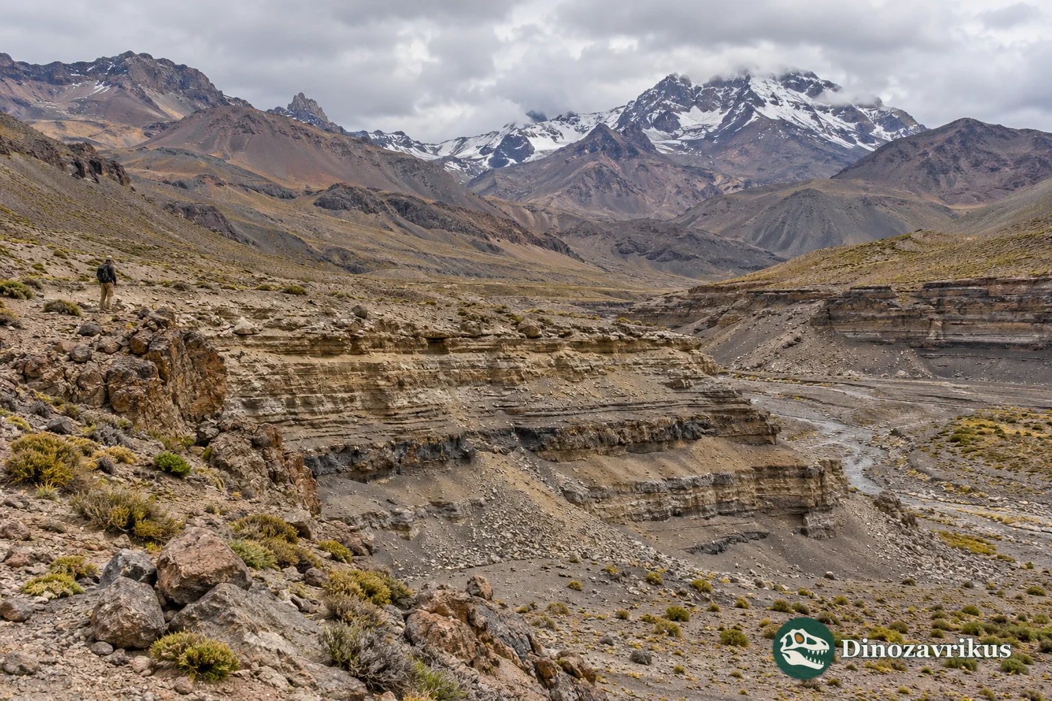 Layered rocks in the central Chilean Andes