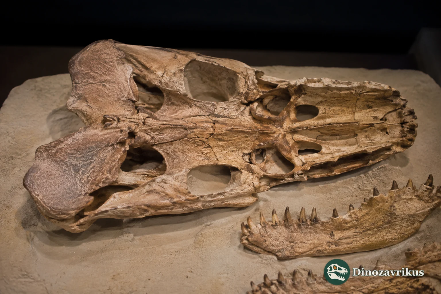 Eutretauranosuchus beside a Late Jurassic river in the Morrison Formation