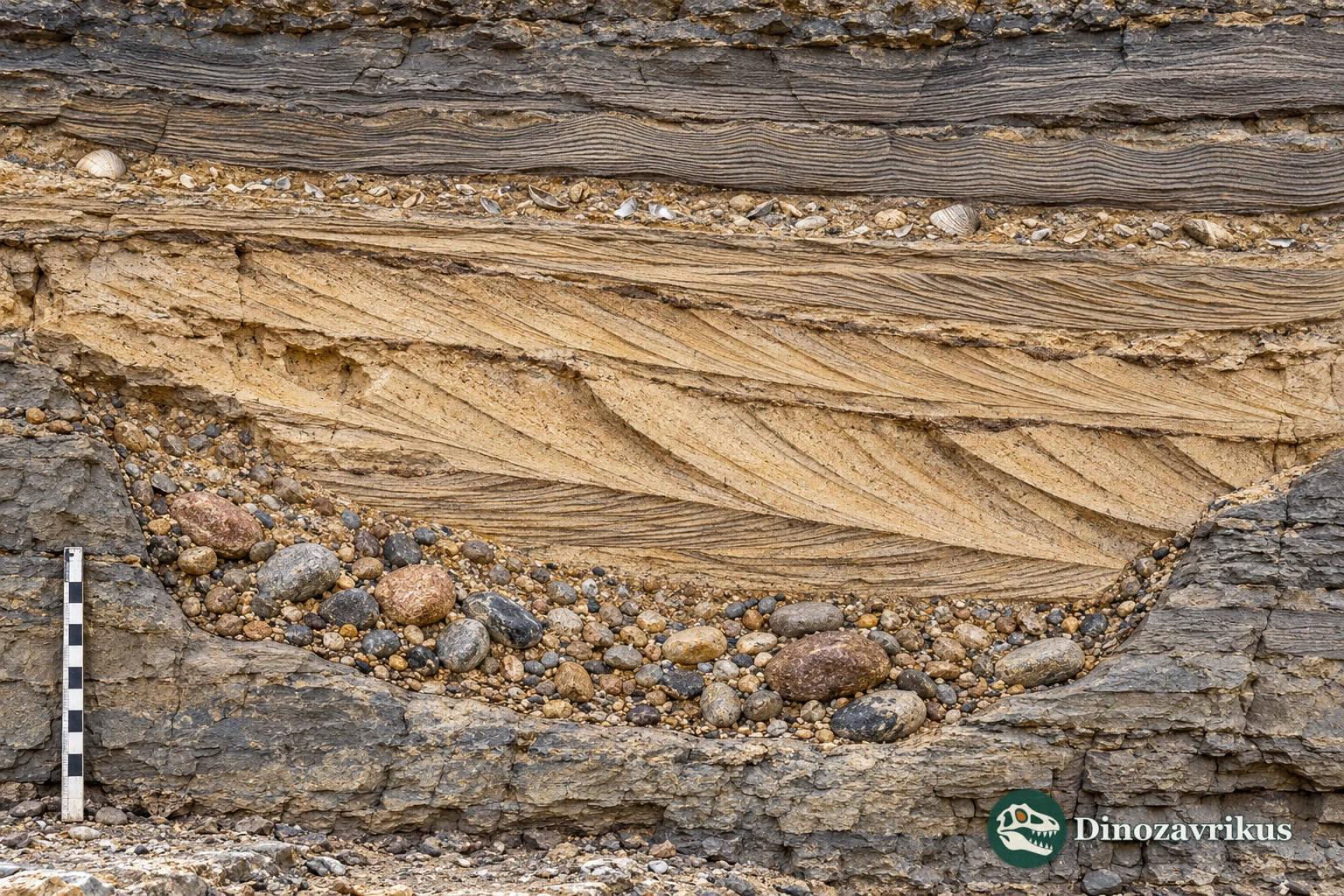 Cross-strata, ripples and grain-size changes in an illustrative channel deposit