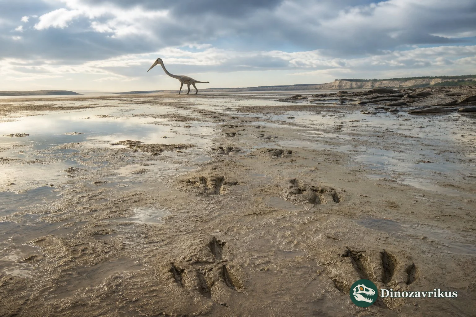 A large pterosaur walking across a Late Cretaceous Korean mudflat