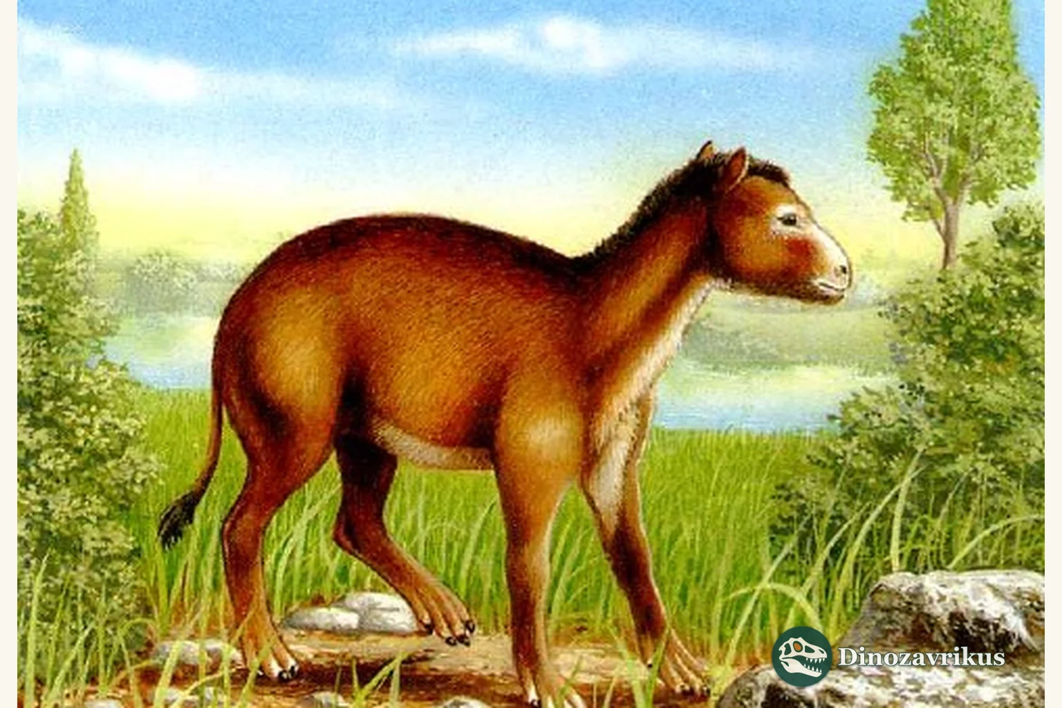 Hyracotherium reconstructed in a wooded wetland