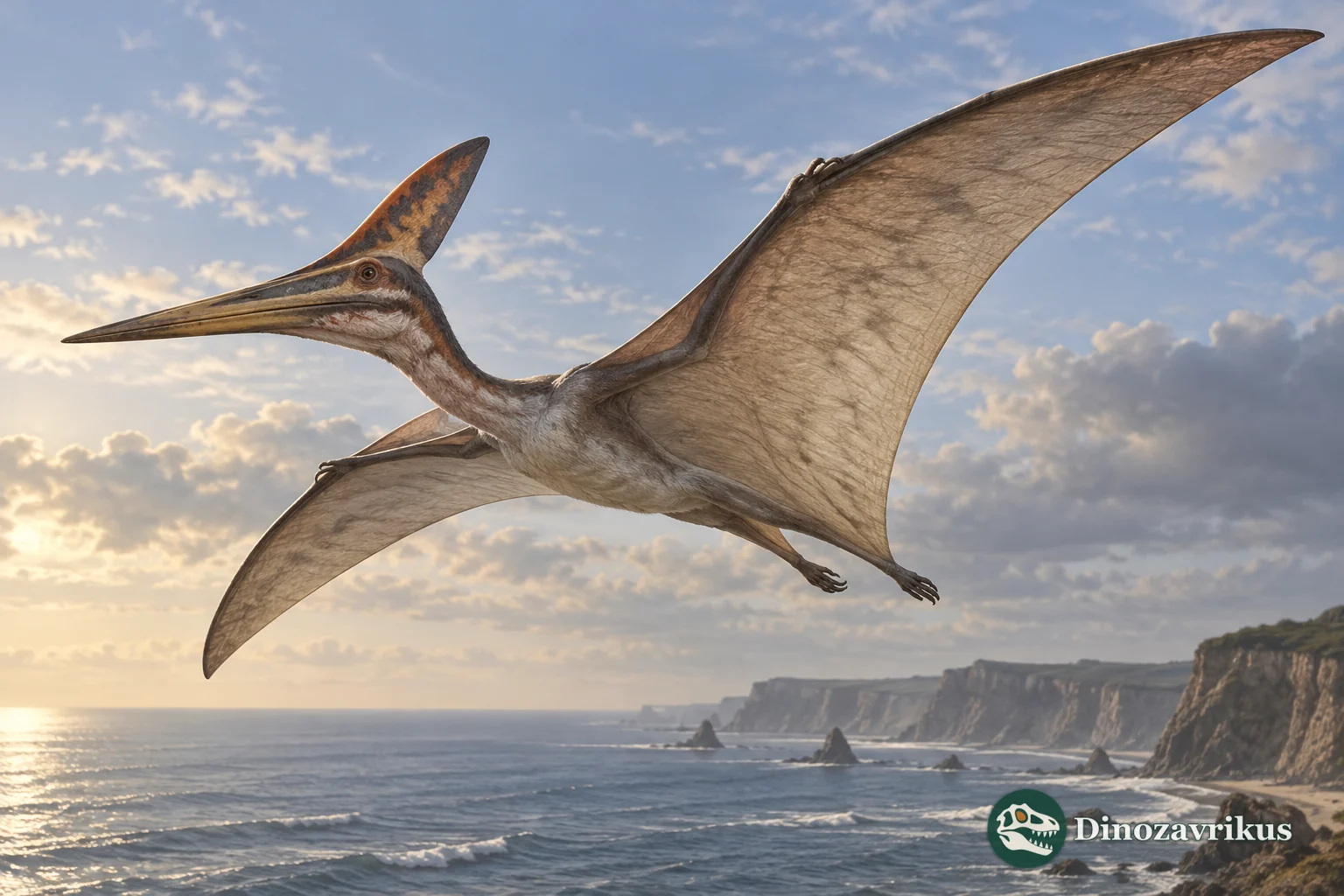 A Late Jurassic pterosaur in flight with its wing membrane stretched from the elongated fourth finger toward the hindlimb