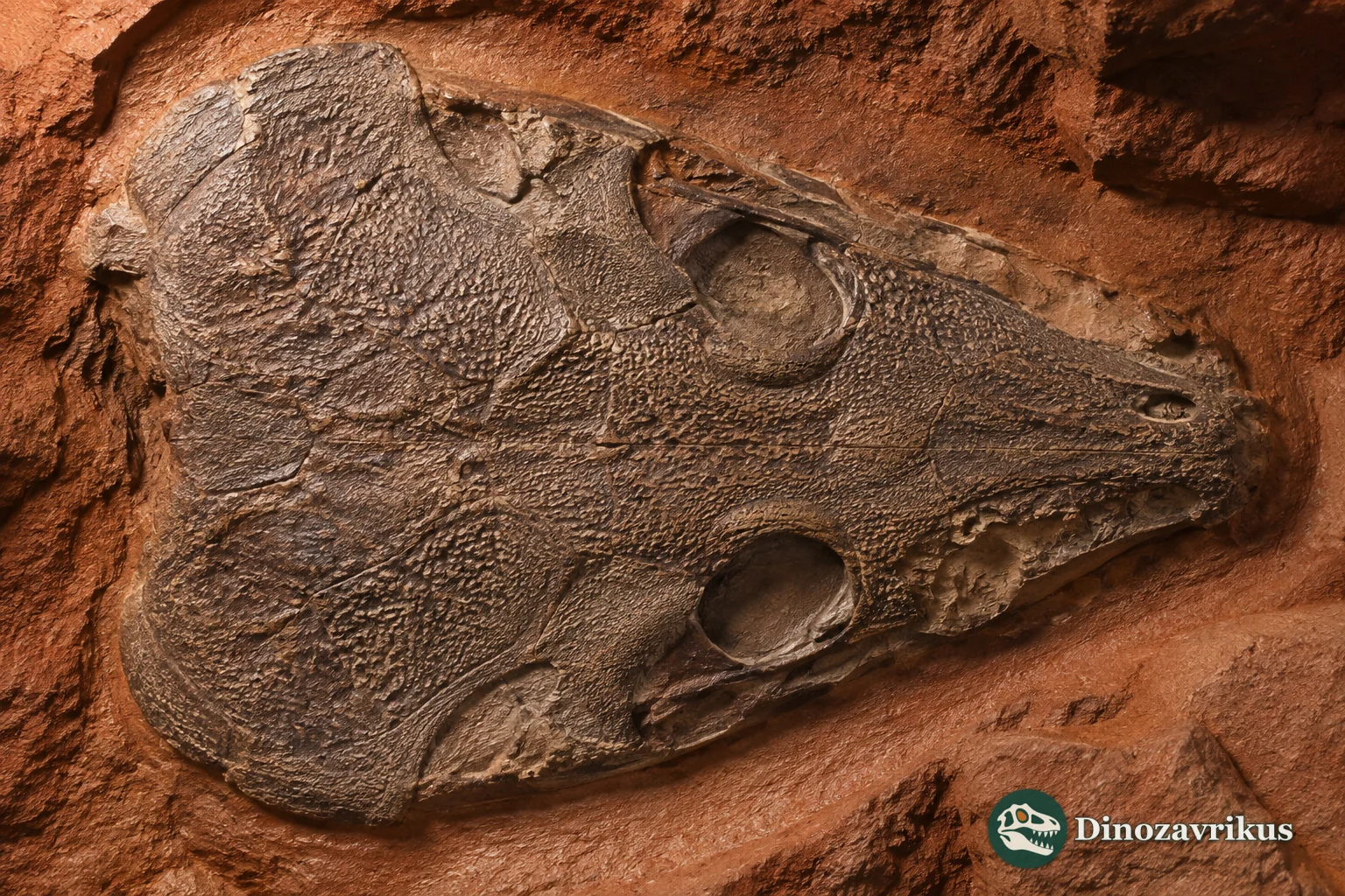 Lanthanosuchus watsoni reconstructed beside a Late Permian river plain