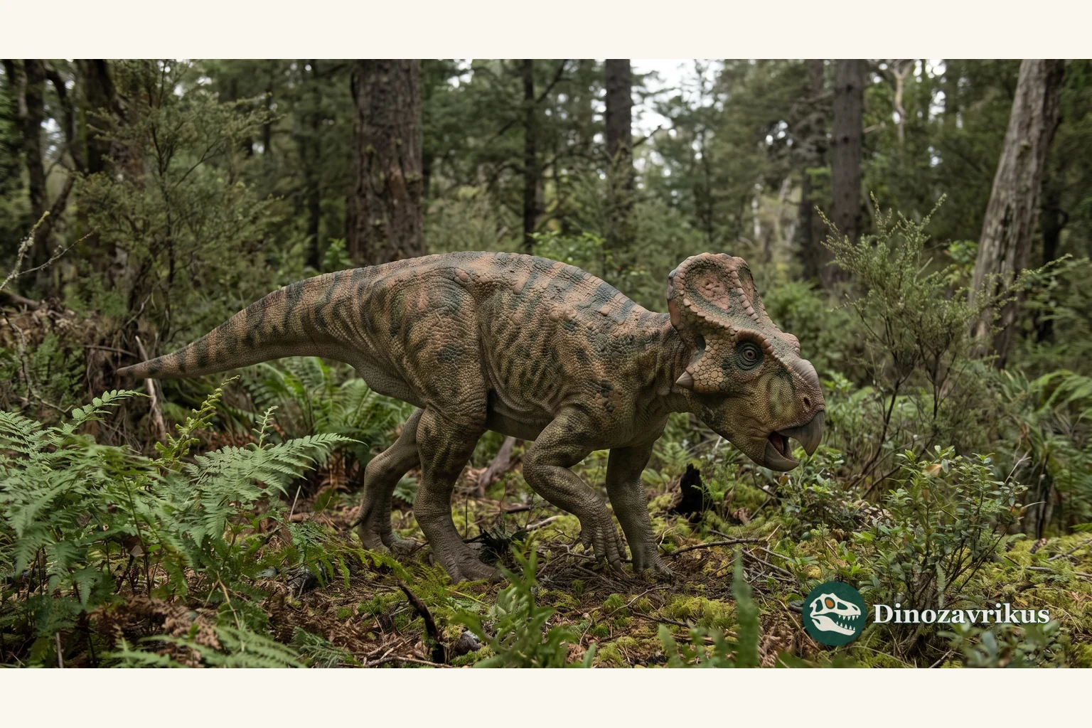 Illustrative reconstruction of the early ceratopsian Liaoceratops in the Early Cretaceous of China