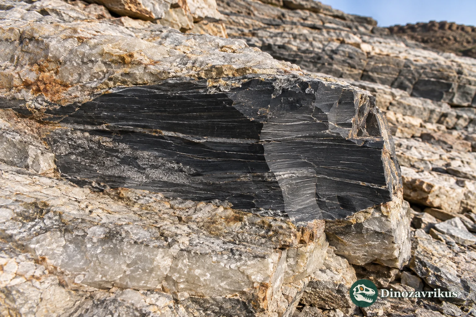 Dark cherty layers within Mesoarchean Farrel Quartzite