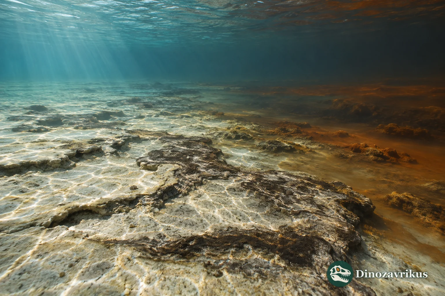 Microbial mat beside a local oxygenated zone in a Mesoarchean shallow sea