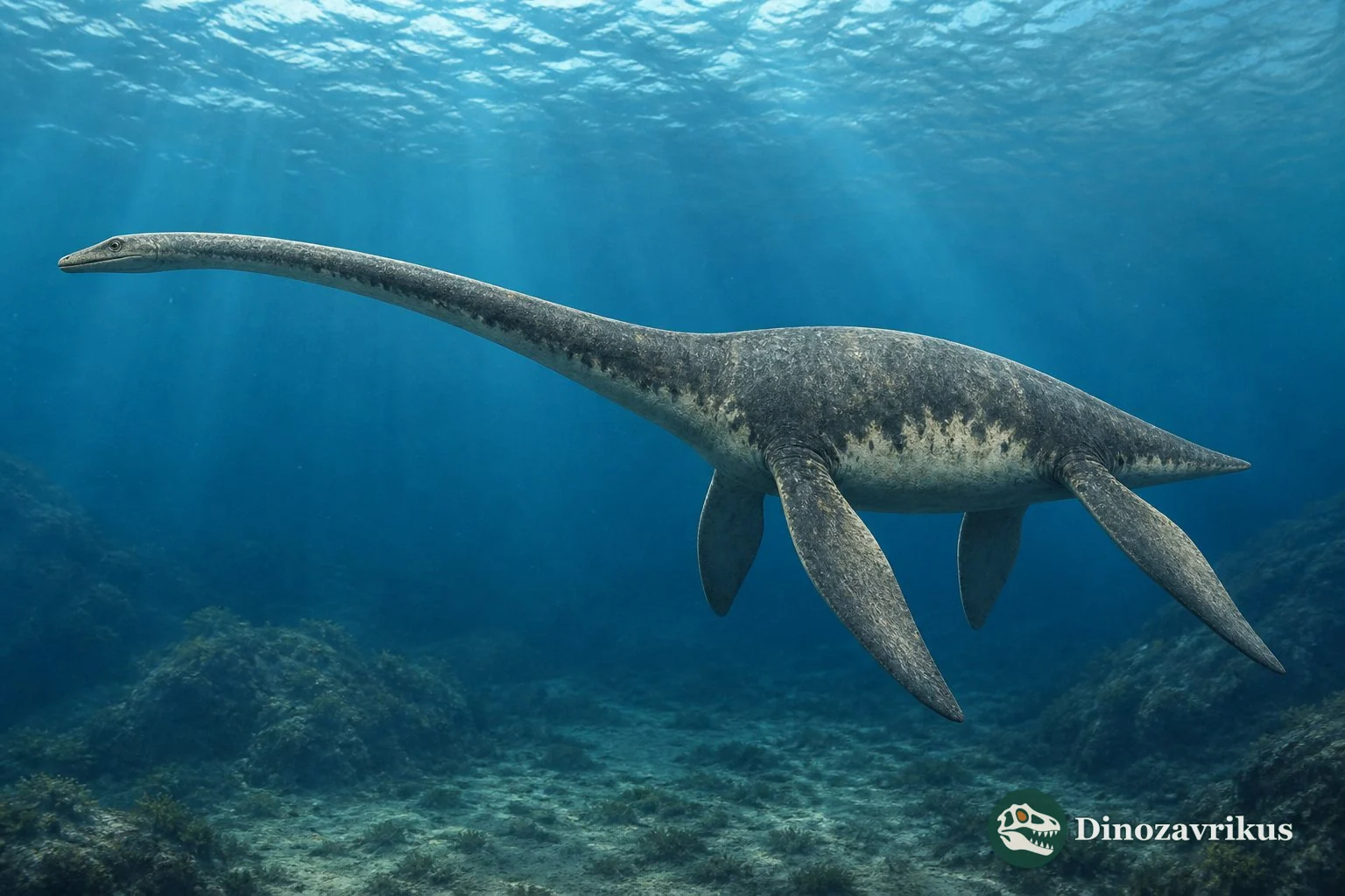 Muraenosaurus leedsi swimming above the Middle Jurassic Oxford Clay seafloor
