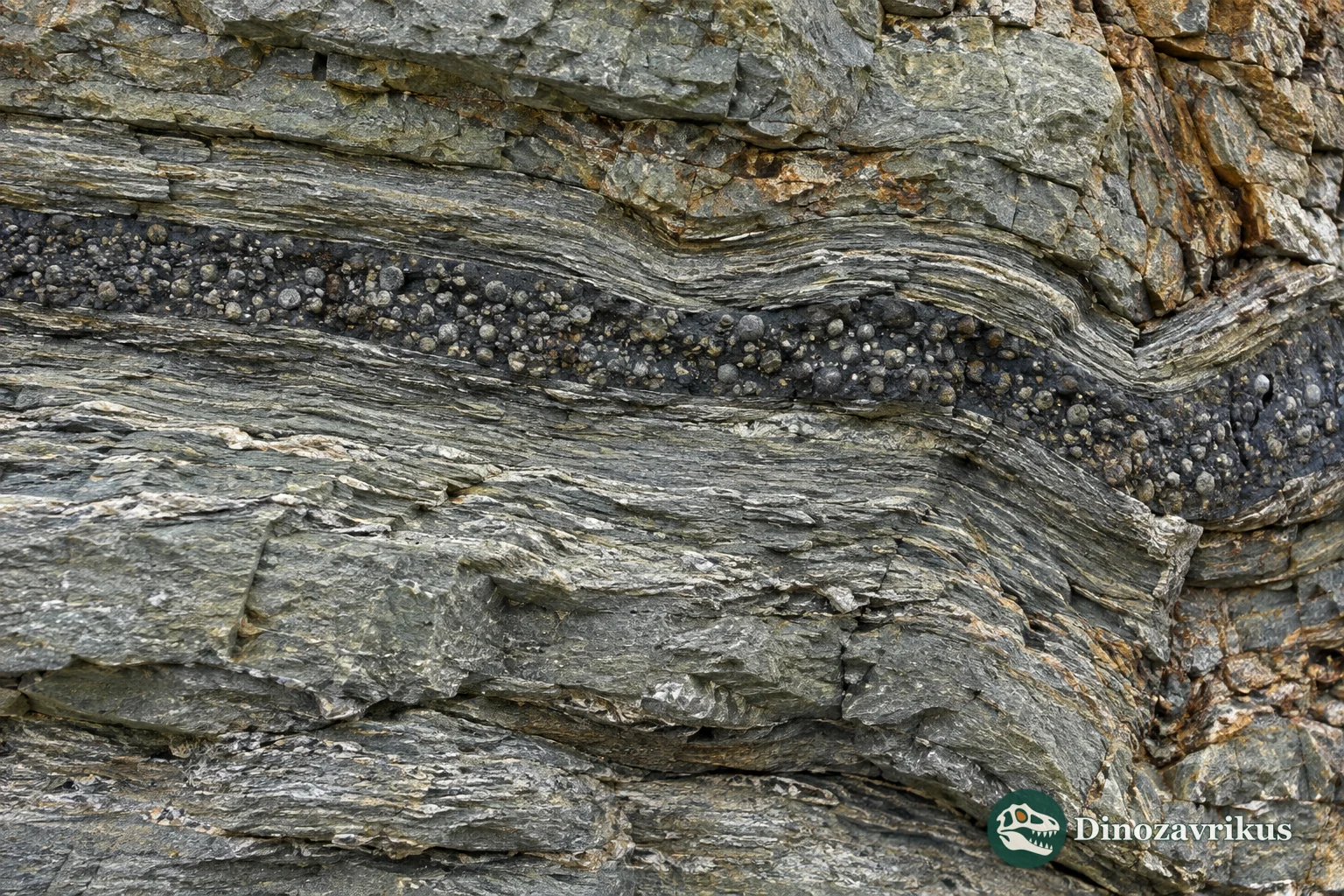 A metamorphosed layer of rounded Neoarchean impact spherules