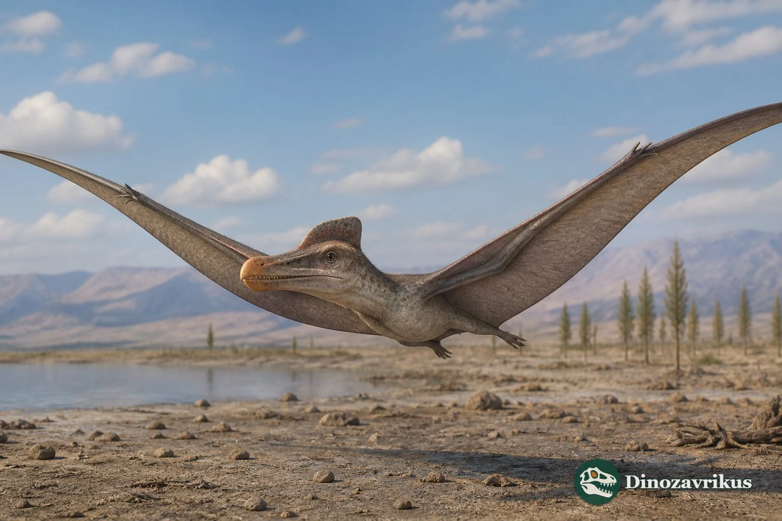 Reconstruction of Noripterus, a dsungaripterid pterosaur from Central Asia