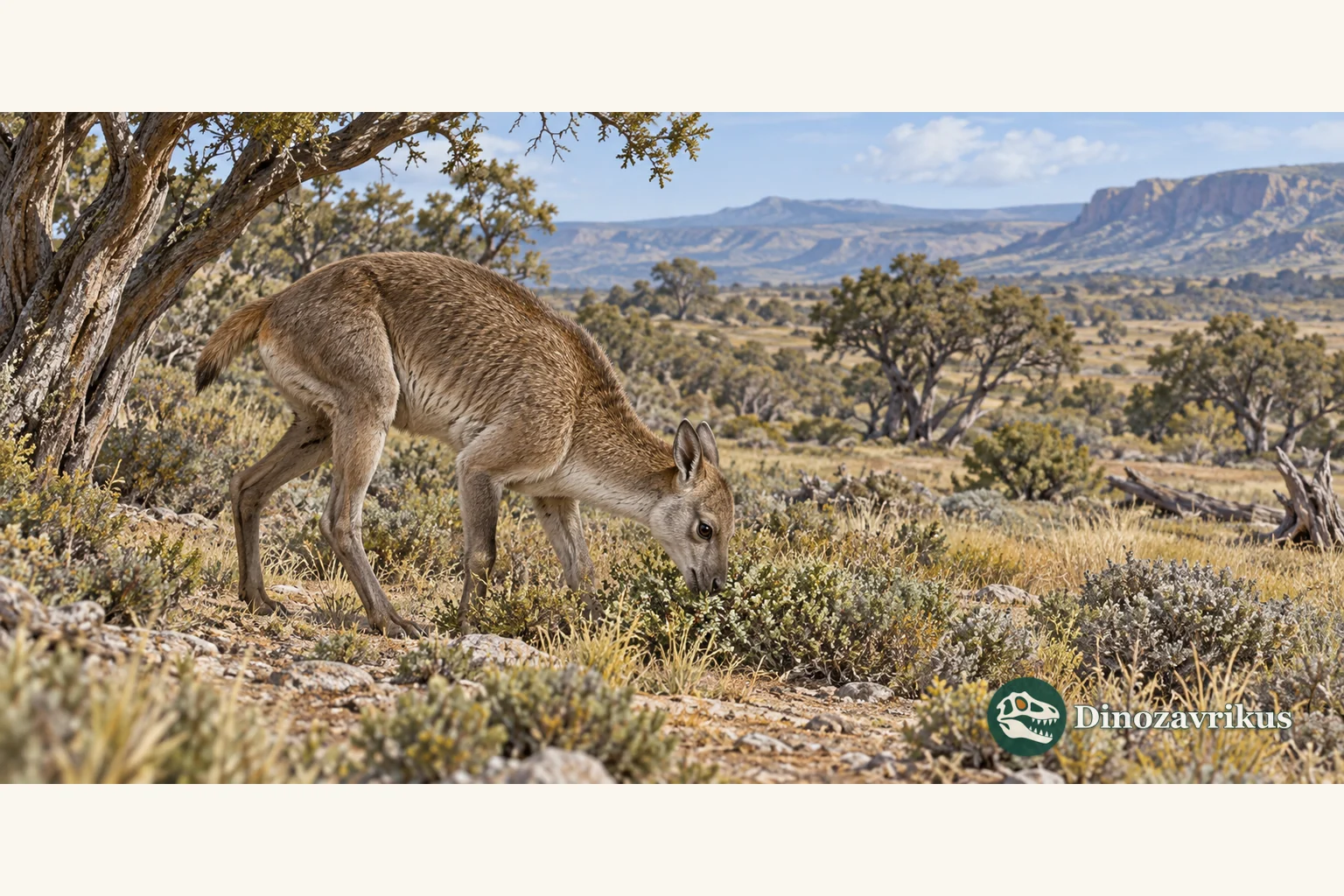 Pachyrukhos feeding near the ground in a Miocene Patagonian habitat