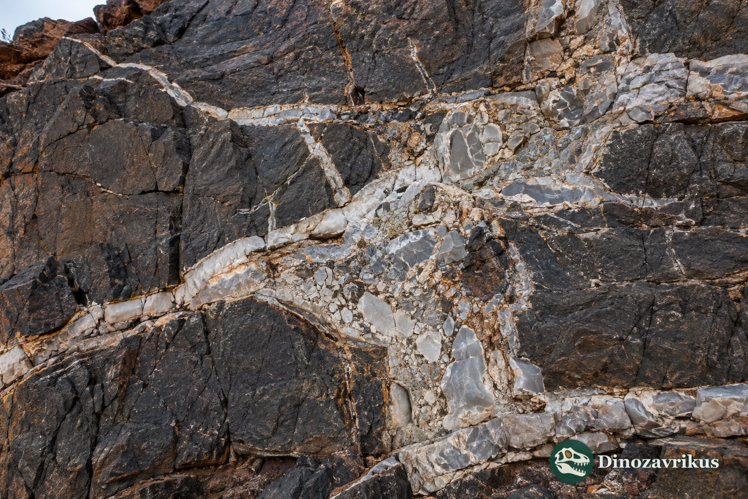 Hydrothermal veins and brecciated Apex chert