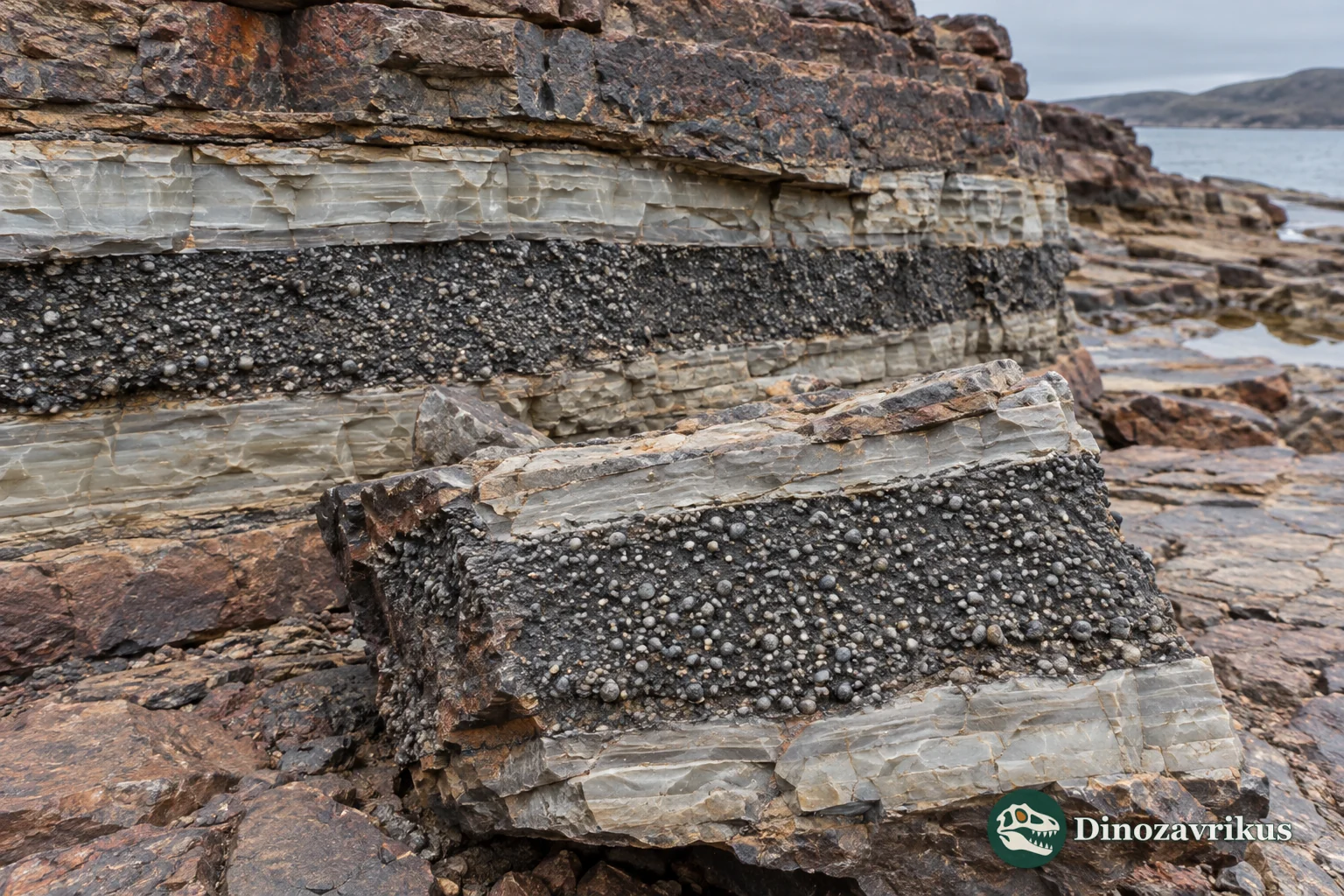 Impact-spherule layer within a Paleoarchean sedimentary section