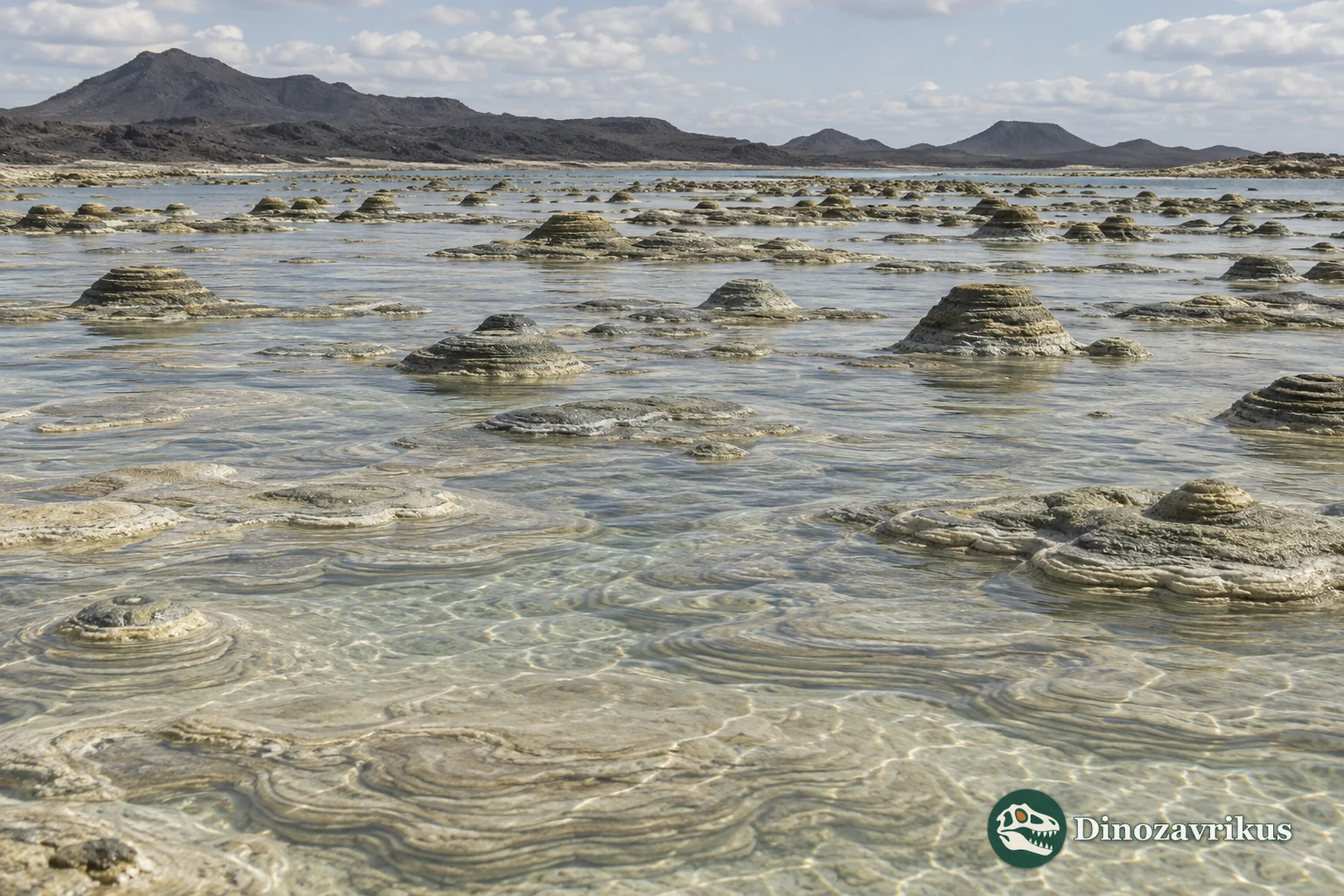 Shallow Strelley Pool water with microbial mats and stromatolites