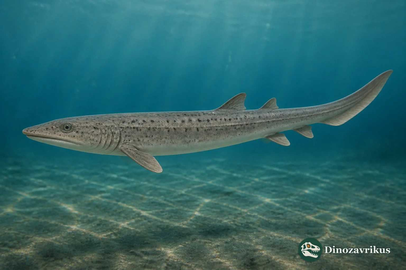 Paraorthacodus jurensis reconstructed from the Late Jurassic Nusplingen skeleton, with a diagnostic multi-cusped tooth