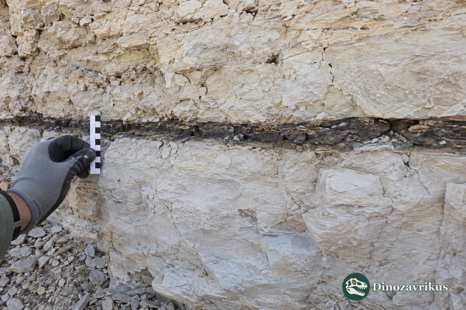 Thin dark K–Pg boundary layer between contrasting sedimentary rocks