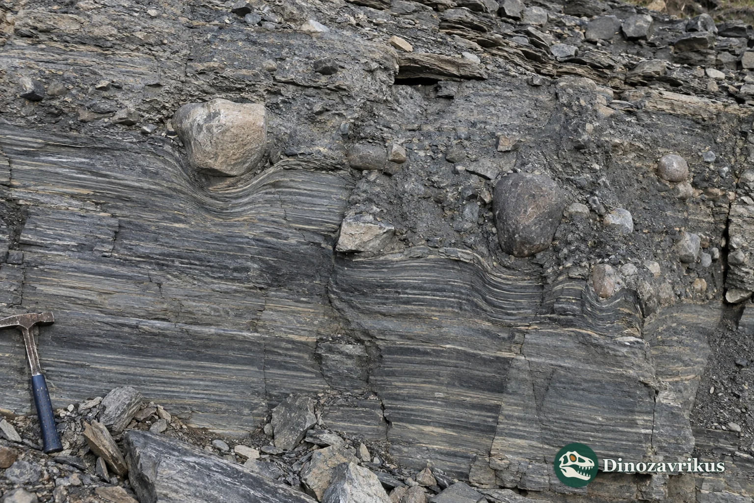 Cryogenian marine sediment containing large dropstones released from floating ice