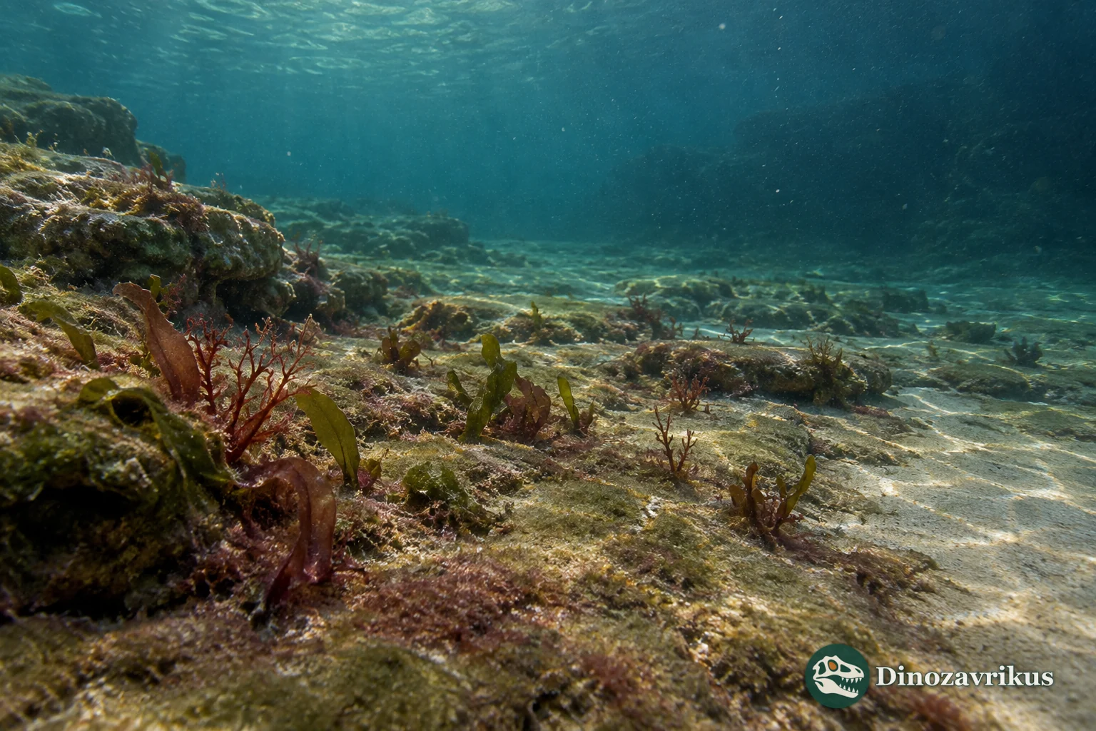 Mesoproterozoic shallow water with microbial mats and simple eukaryotic algae