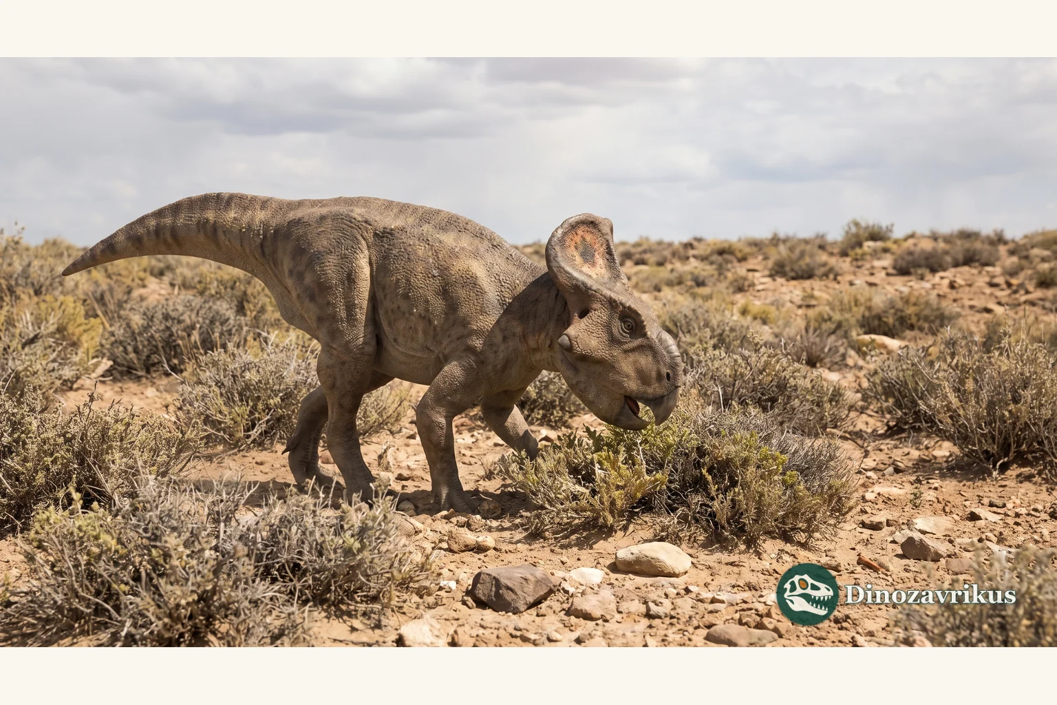 Reconstruction of Protoceratops in a dry Gobi landscape