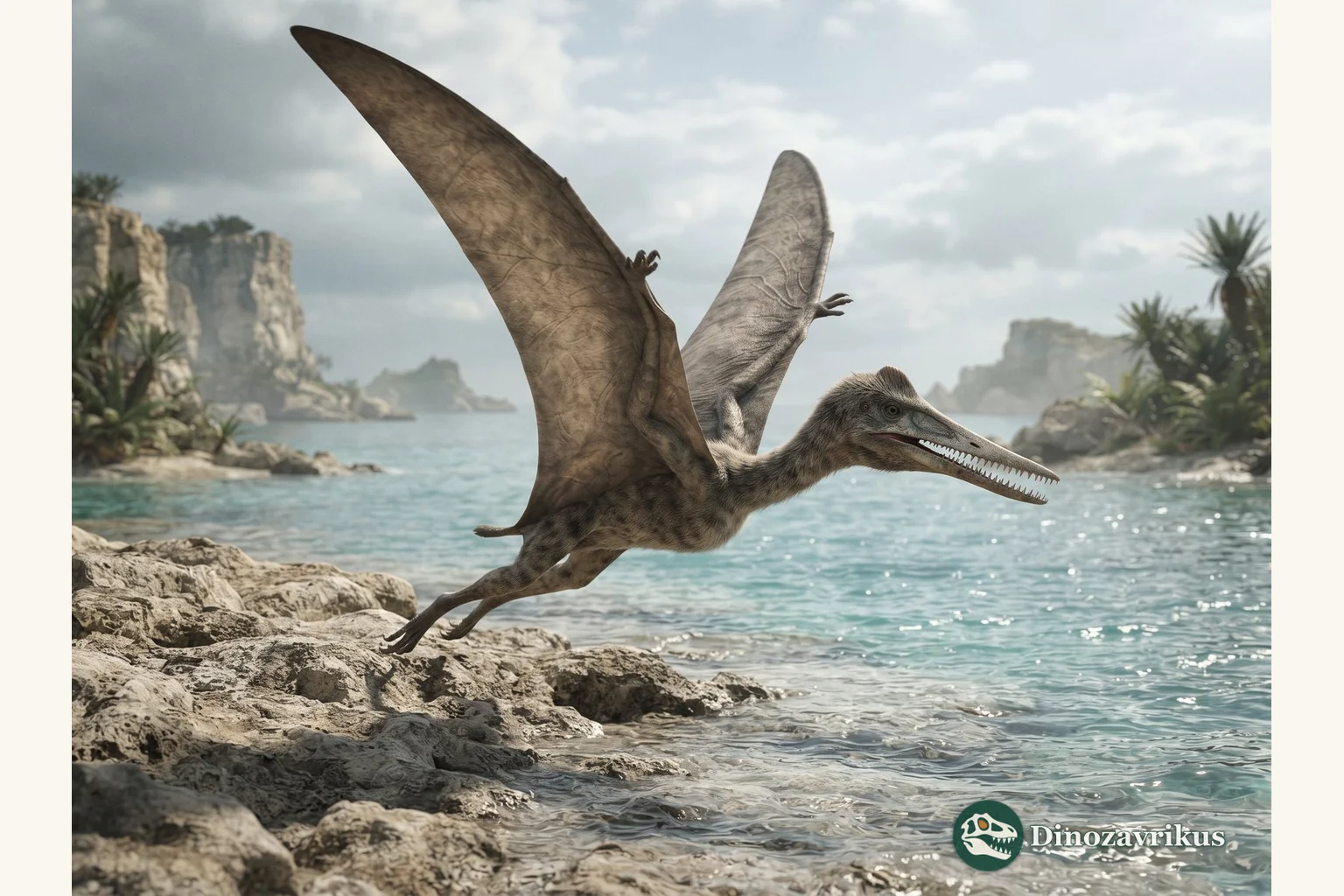 Pterodactylus reconstructed as a small Late Jurassic pterosaur