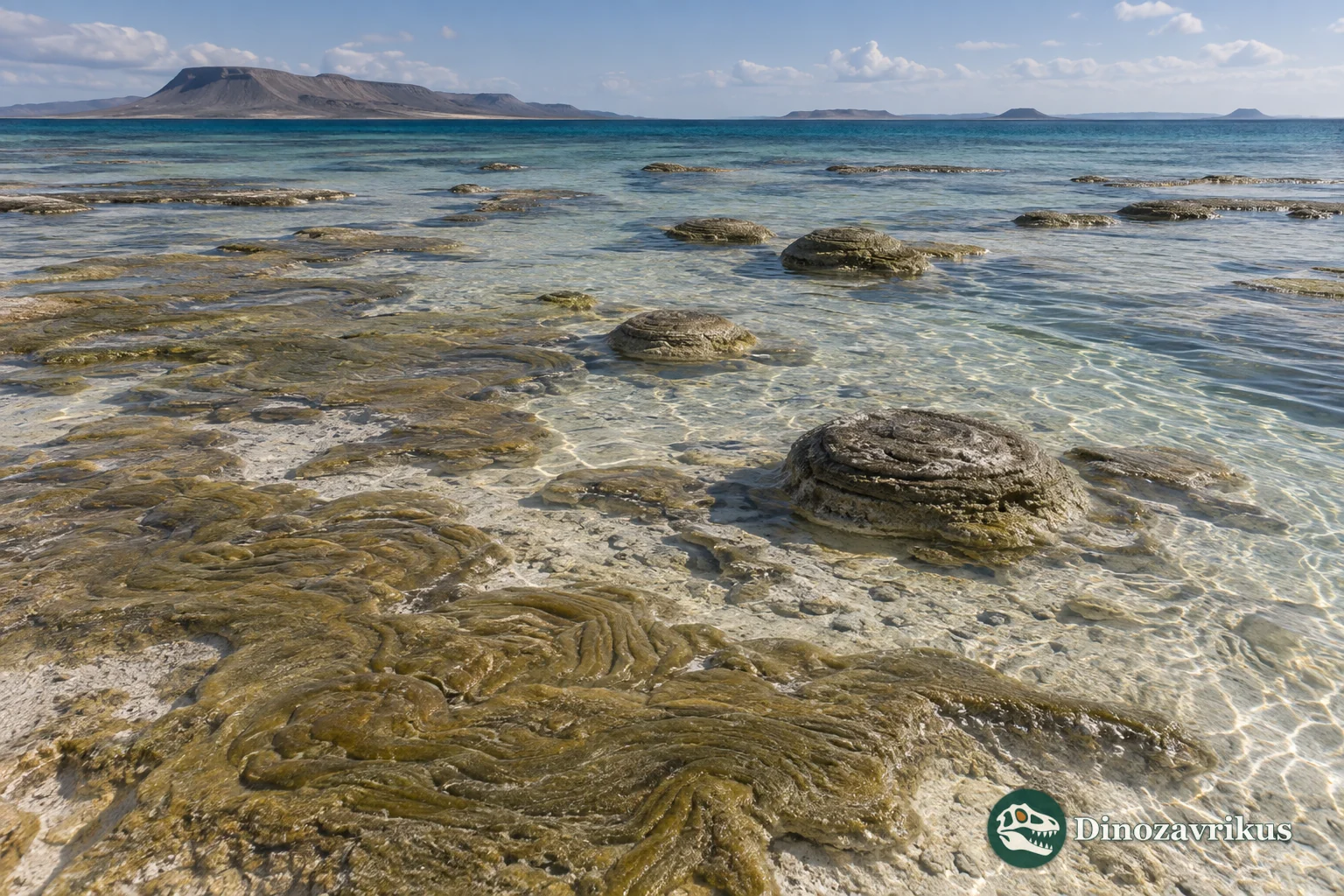 A shallow Rhyacian shelf with microbial mats during the Lomagundi excursion