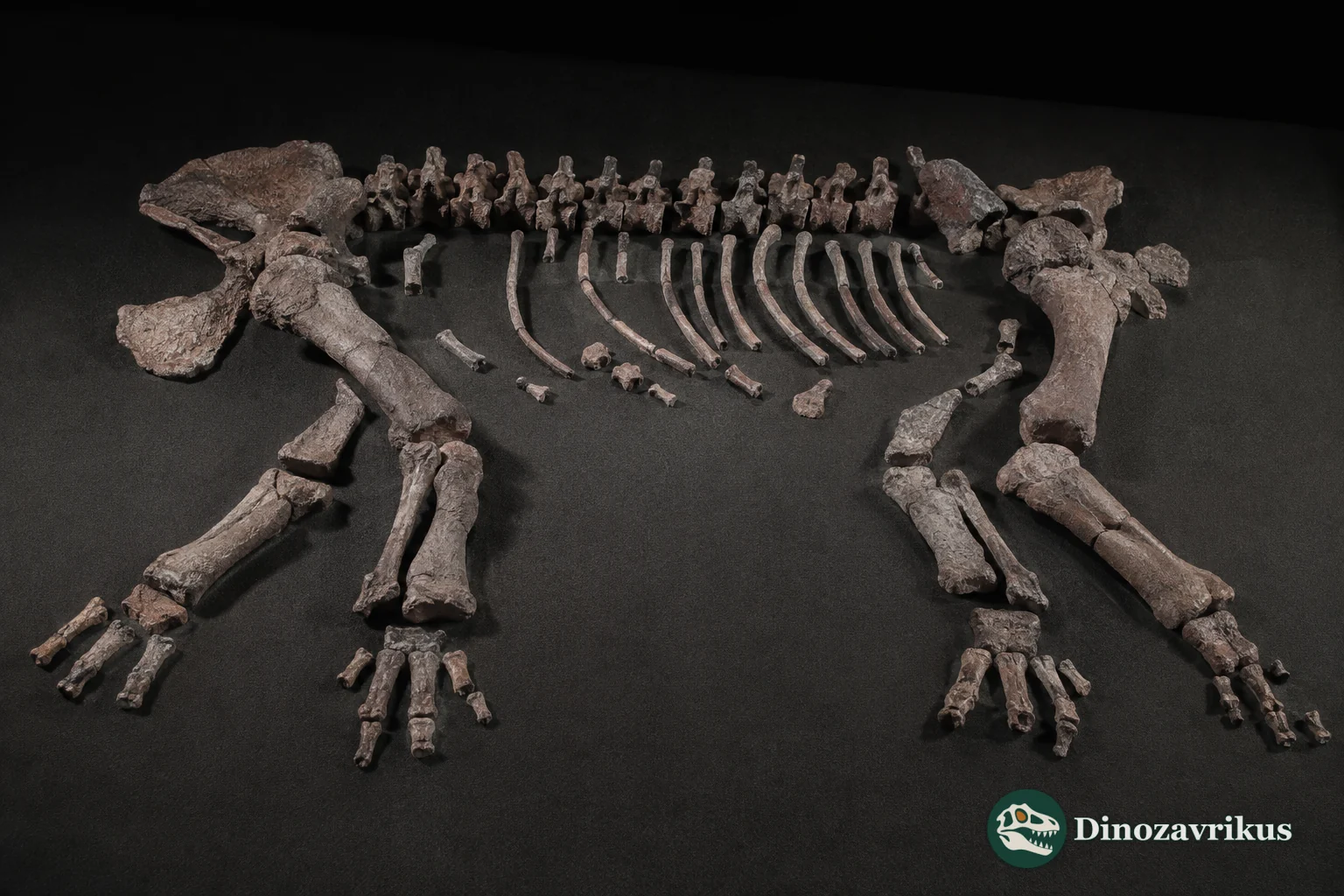 Shihtienfenia permica reconstructed from postcranial bones in a Late Permian Chinese landscape