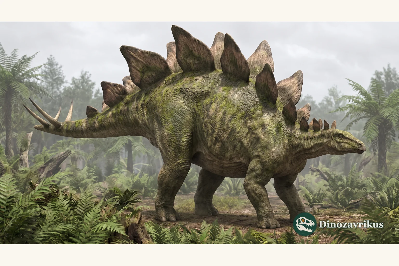 Artist's reconstruction of an adult Stegosaurus