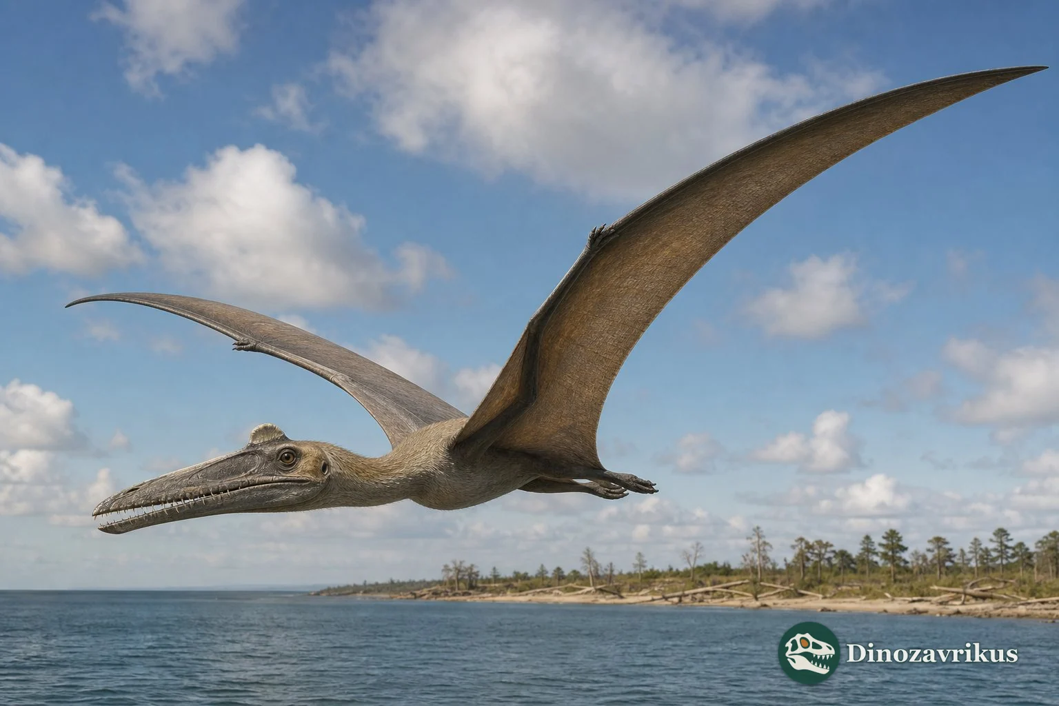 Thapunngaka reconstructed flying over a Cretaceous Queensland coast