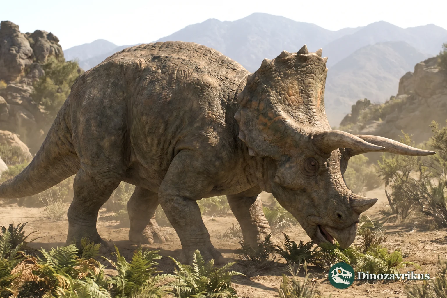 Artist's reconstruction of an adult Triceratops