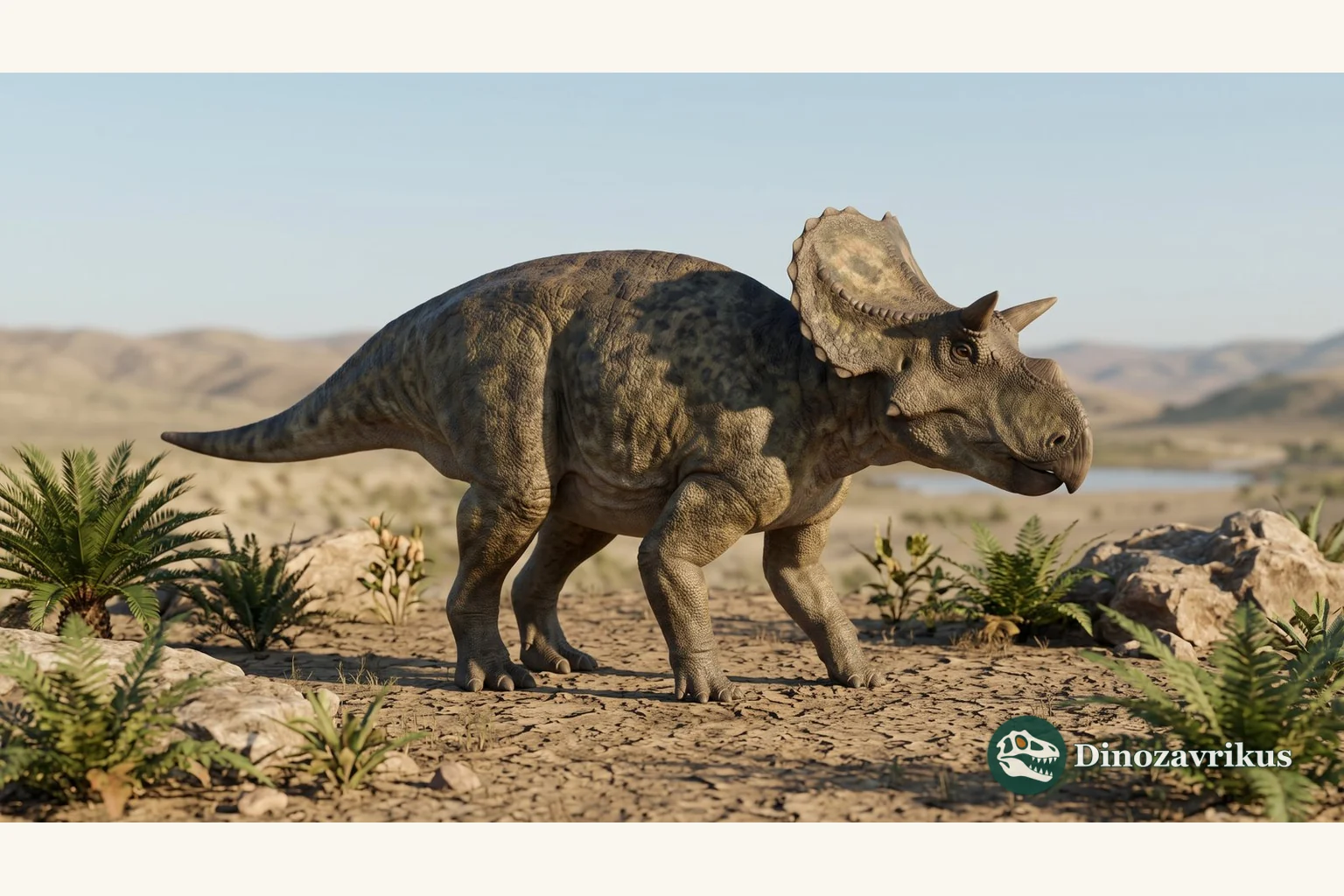 Illustrative reconstruction of Turanoceratops tardabilis in the Late Cretaceous of Uzbekistan
