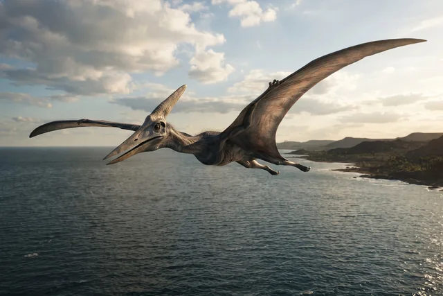 Clean catalogue illustration for Pteranodon